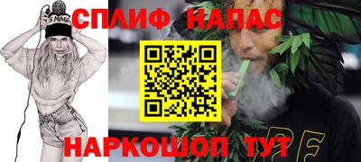 прущие грибы Краснодар