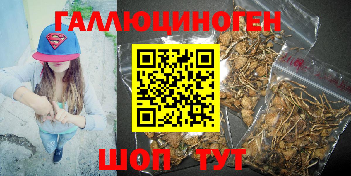 Иваново  Галлюциногенные грибы прущие грибы  Вход с VPN 