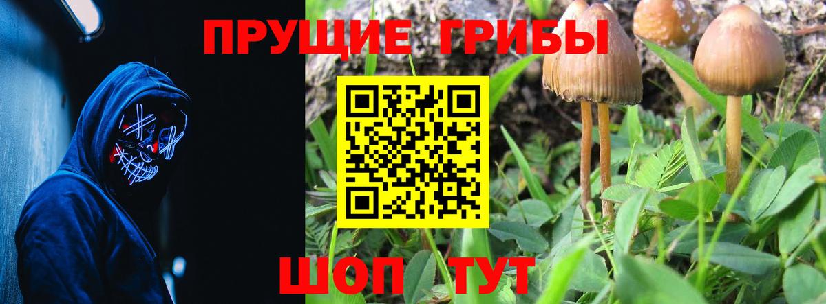Псилоцибиновые грибы мухоморы Иваново